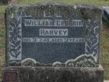 image of grave number 864433